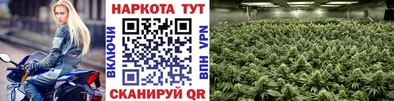 Купить наркоту Кунгур A-PVP  blacksprut ссылка  Гашиш  Cocaine  МЕФ 