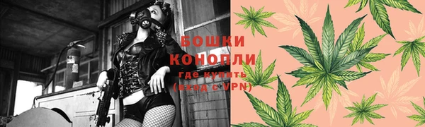 экстази Михайлов