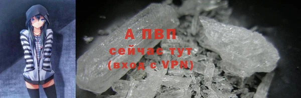 2c-b Медвежьегорск