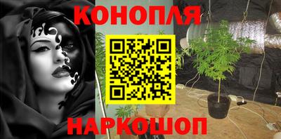 индика Балахна