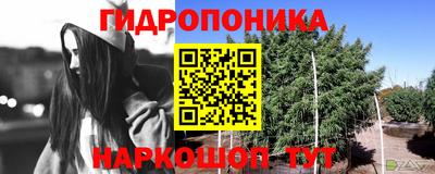 spice Балаково