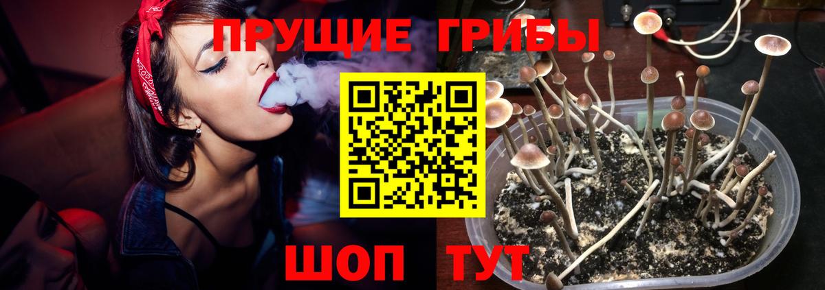 Галлюциногенные грибы мицелий  Кунгур 