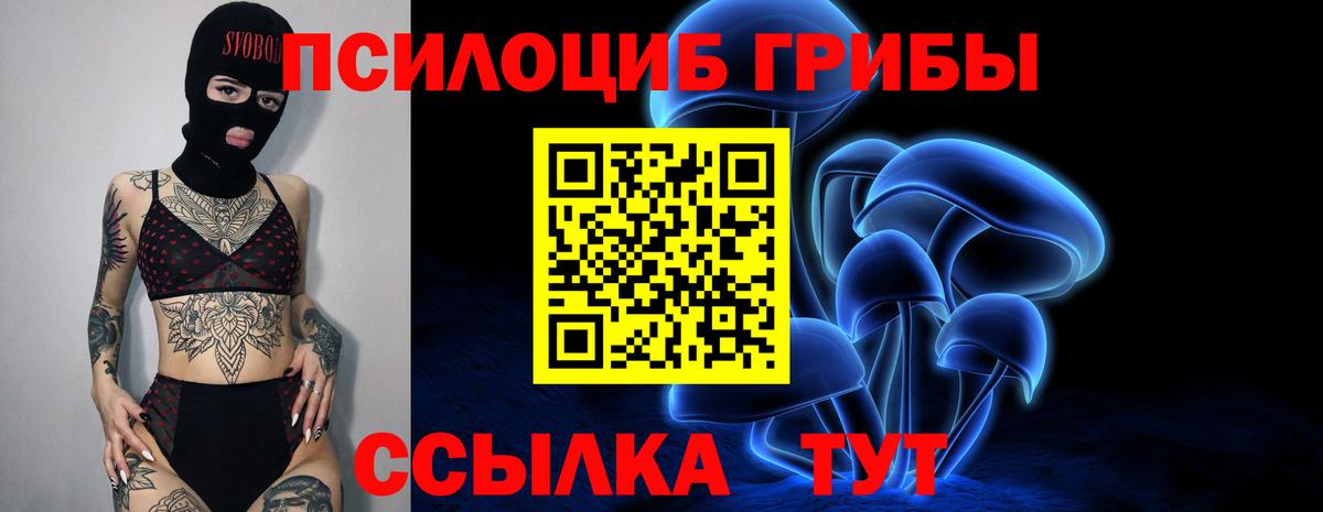 Псилоцибиновые грибы Cubensis  Вход с VPN  Псилоцибиновые грибы Cubensis  Кунгур 
